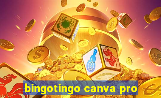 bingotingo canva pro